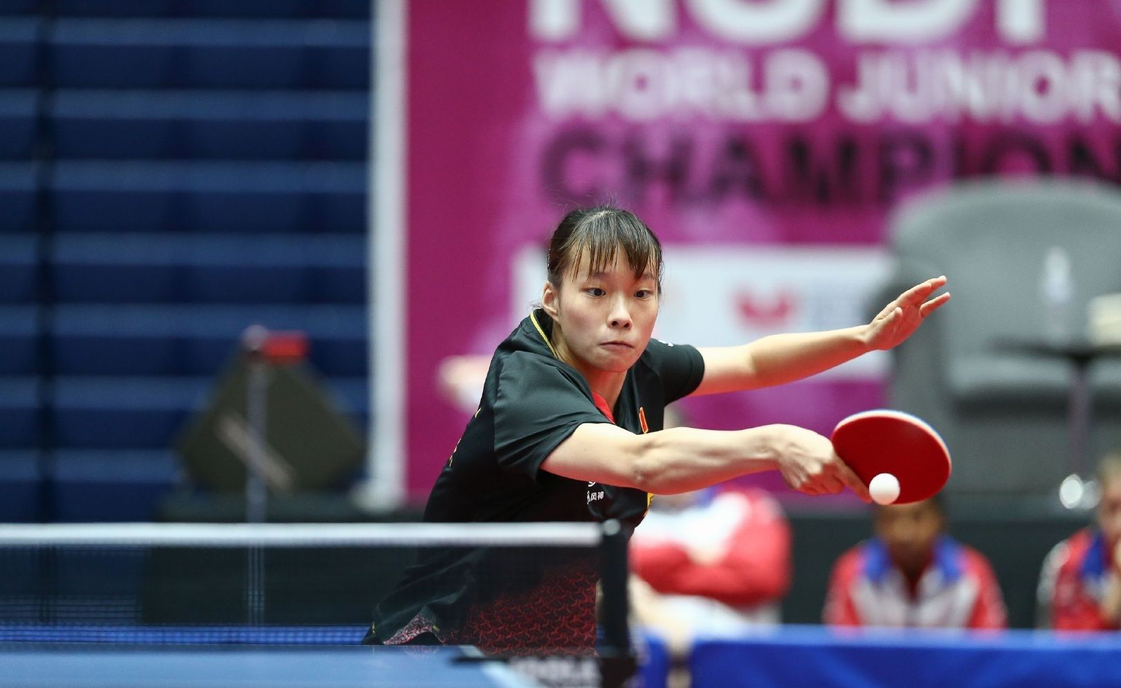 绿军正在积 绿军正在积